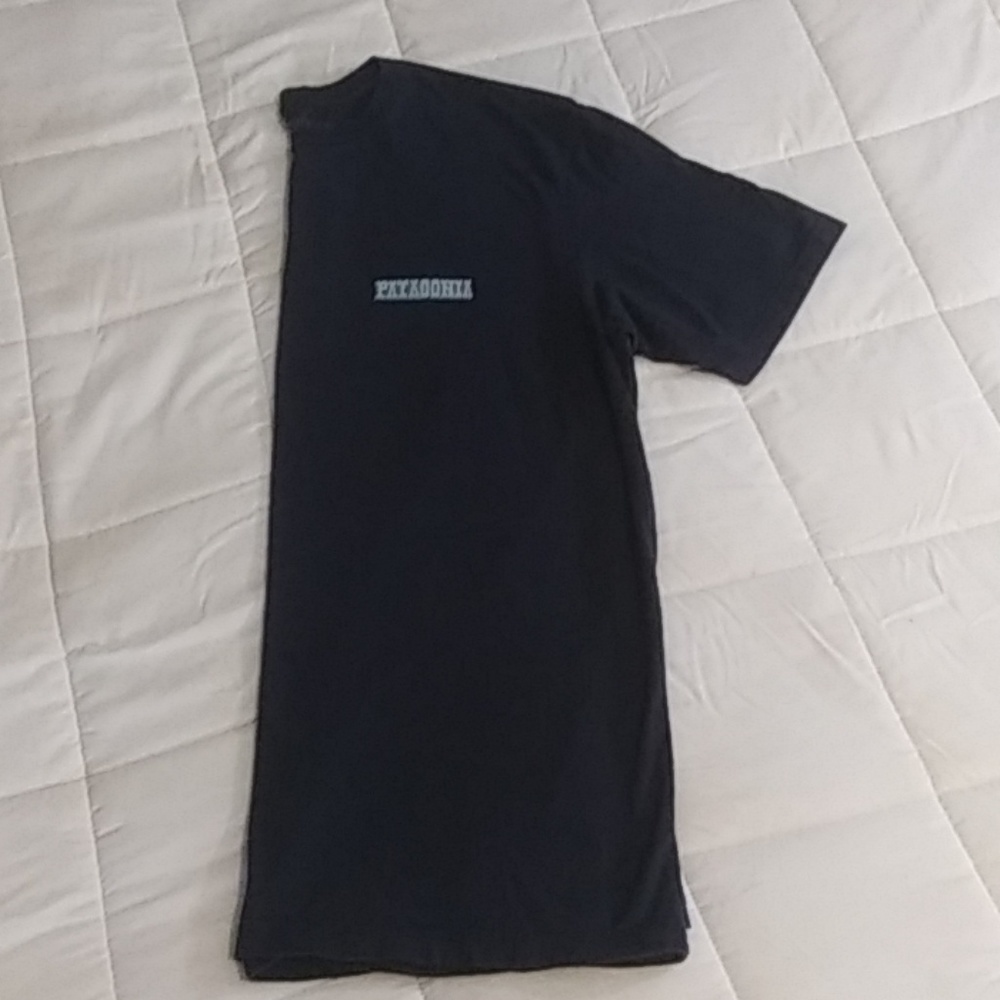 Patagonia Tee